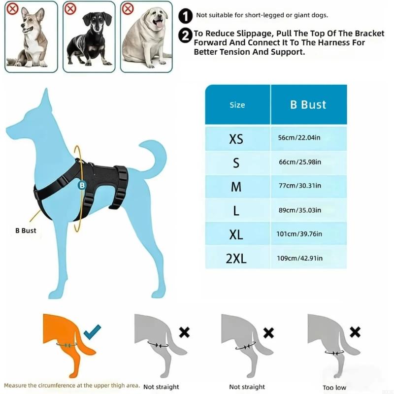 Attelle de soutien pour la patte arrière du chien pour déchirure et dysplasie de la hanche avec sangle réglable et stabilisateurs Support de jambe B03E