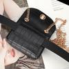 Mini Chain Bag Shoulder Bag Personalized Snake Pattern Fanny Pack Can Be Equipped With Belt Decoration Small Bag Change Bag
