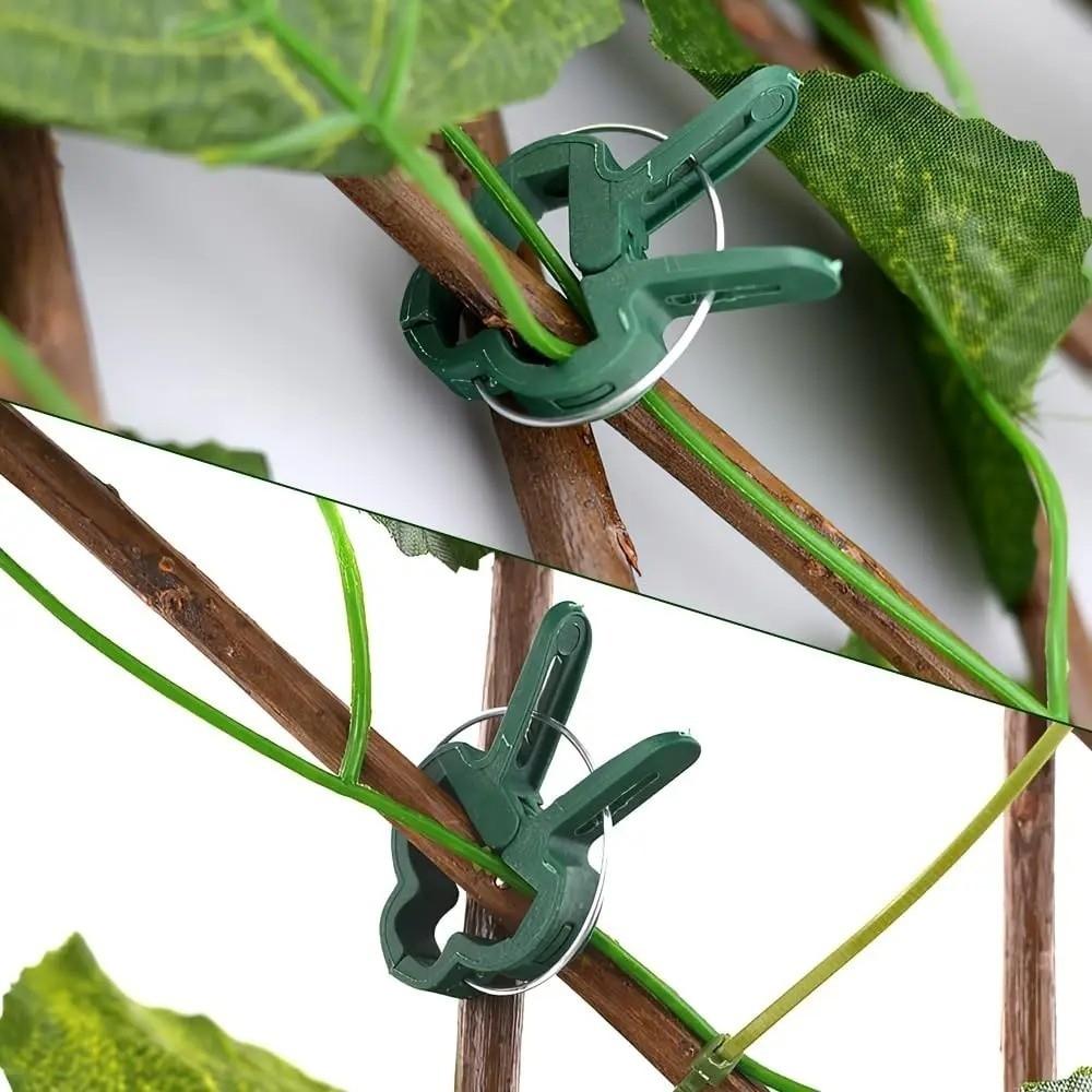 10 Buc Clip de Fixare Plante Tip Inel cu Pârghie Reutilizabil Clip Suport Viță de Vie Suport pentru Seră Accesorii de Grădină