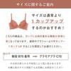 corrective high cleavage making large and small C70 FT0087 [Glamour] Bra, bra, armpit, [Glamour Bra] Women's, sizes, navy,