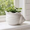 3D Printed Conch Flower Pot Moisture-Resistant Mini Planter with Wavy Edge And Drain