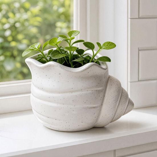 3D Printed Conch Flower Pot Moisture-Resistant Mini Planter with Wavy Edge And Drain