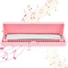 Professionelle Mundharmonika Diatonische Harp C-Dur Edelstahl-Deckplatte 24?HolePink
