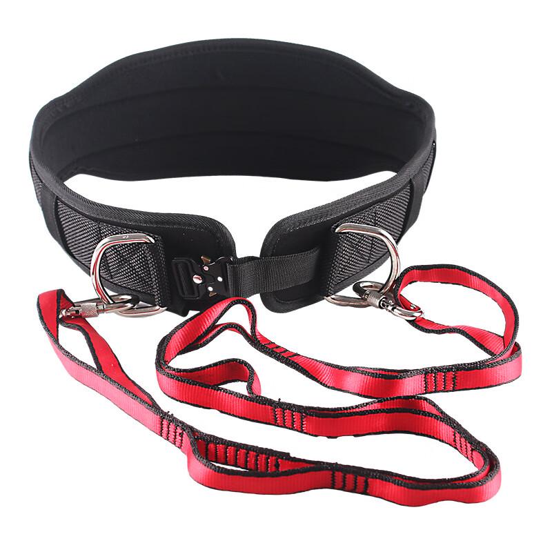 WEZHO Weight Lifting Pull-up Belt