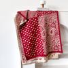 Korean Version Of Light Luxury Contrasting Colors, Double-Sided Imitation Cashmere Scarf, Winter High-End Warm Shawl