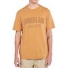 T-shirt Classica a Maniche Corte Morbida Minimalista Delicata sulla Pelle Uomo tops TB0A6QVVP471