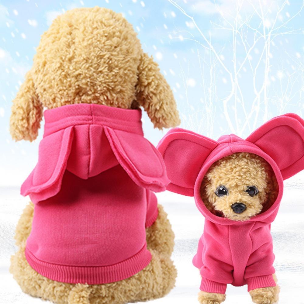 Autumn and winter dog fleece sweater trendy brand two feet sports wind pet dog dog cat clothes outdoor products