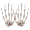 Halloween Scary Skeleton Hand Claw Prop Bone Hand Ornament Haunted House Bar Decoration Prank Horror Party Display