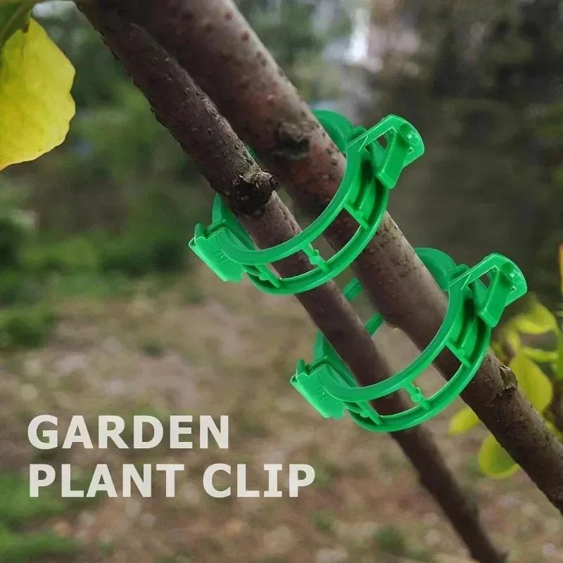 Reusable Plastic Plant Support Clips Garden Vine Strapping Fixing Clip for Climbing Tomato Grape Vegetables Stalk Holders Buckle