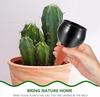 BTBHIHO 500ml Self-Watering Globes, 4-Pack Automatic Plant Watering Bulbs, ABS Drip Irrigation Spikes for Indoor Outdoor Potted Plants, Black