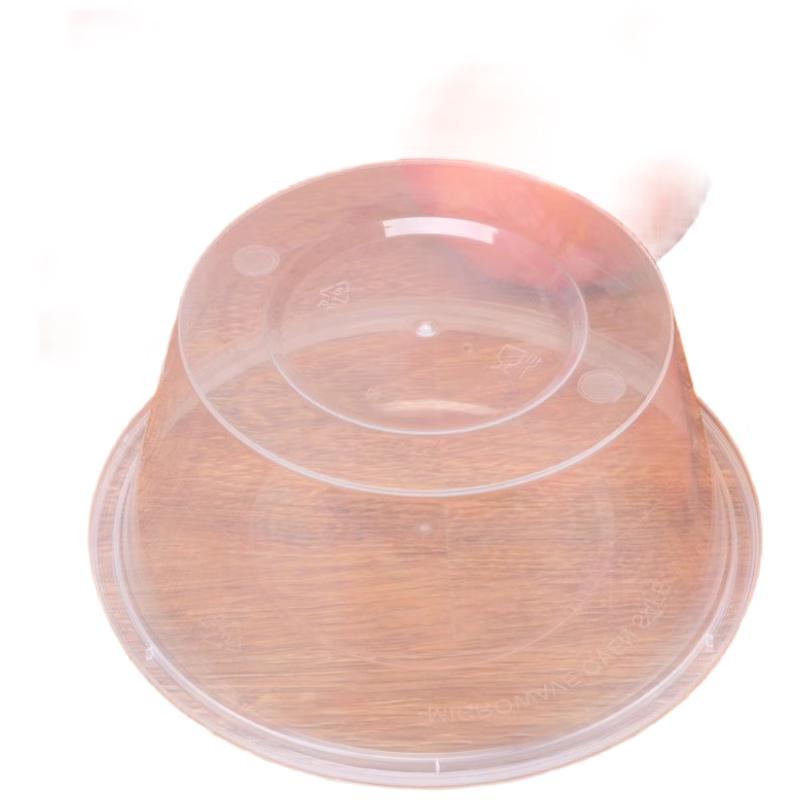 Disposable Food Container with Lid