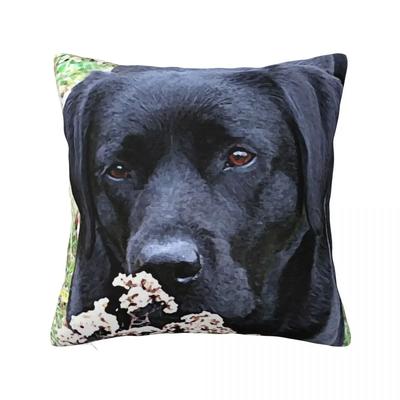 Take Time - Black Labrador Throw Pillow Luxury Sofa Pillows Cushions Rectangular Cushion Cover - Men's Summer Cotton Graphic Tee