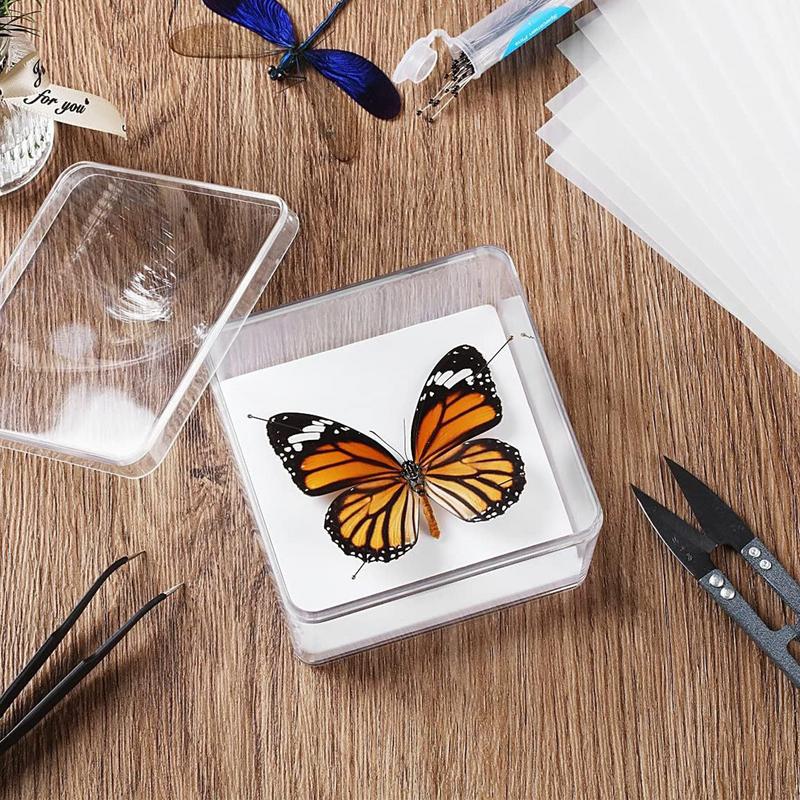 Butterfly Specimen Tools Reusable Taxidermy Tools Adjustable Specimen Set Educational For Biology Projects