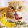 Interaktives Bananen-Spielzeug mit Katzenminze für Haustierkatzen 5 Stück Plüsch-Knabber- und Zahnschleifspielzeug für die Indoor-Beschäftigung von Haustierkatzen
