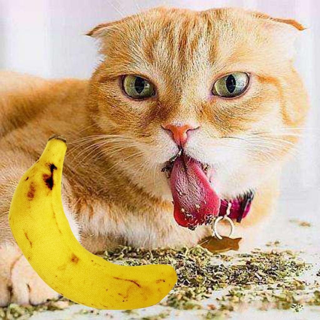 Interaktives Bananen-Spielzeug mit Katzenminze für Haustierkatzen 5 Stück Plüsch-Knabber- und Zahnschleifspielzeug für die Indoor-Beschäftigung von Haustierkatzen