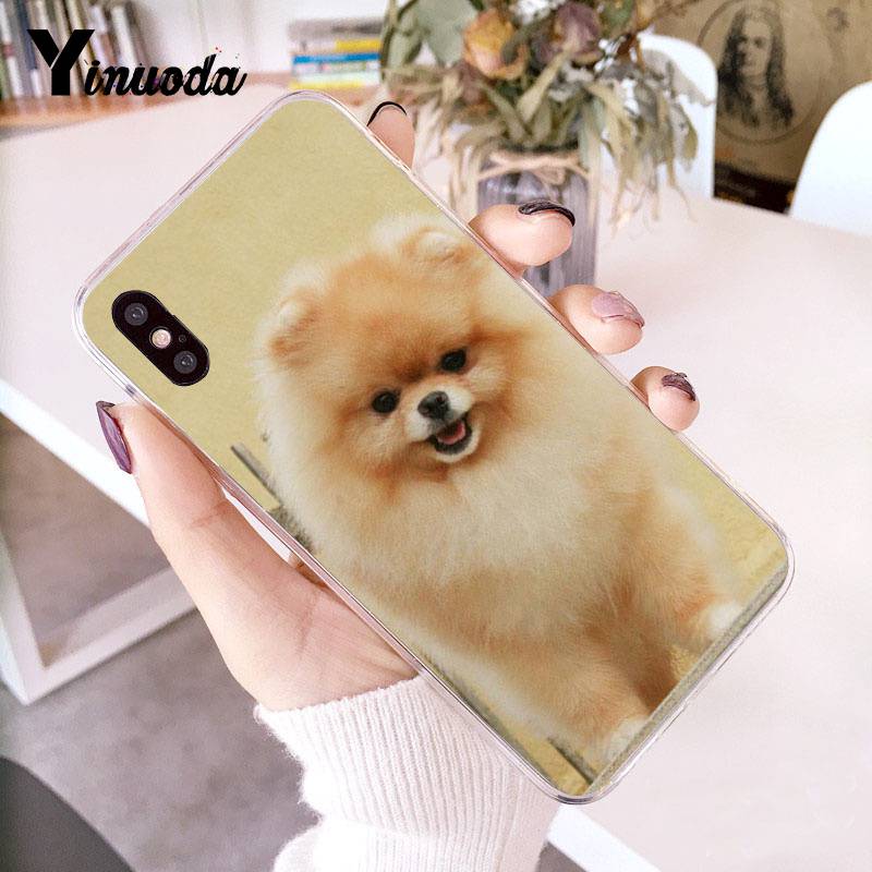 Yinuoda Pomeranian Dogs Dog Colorful Cute Phone Case for Iphone 13 8 7 6 6S Plus X 10 5 5S SE XR XS XSMAX11 11pro 11promax