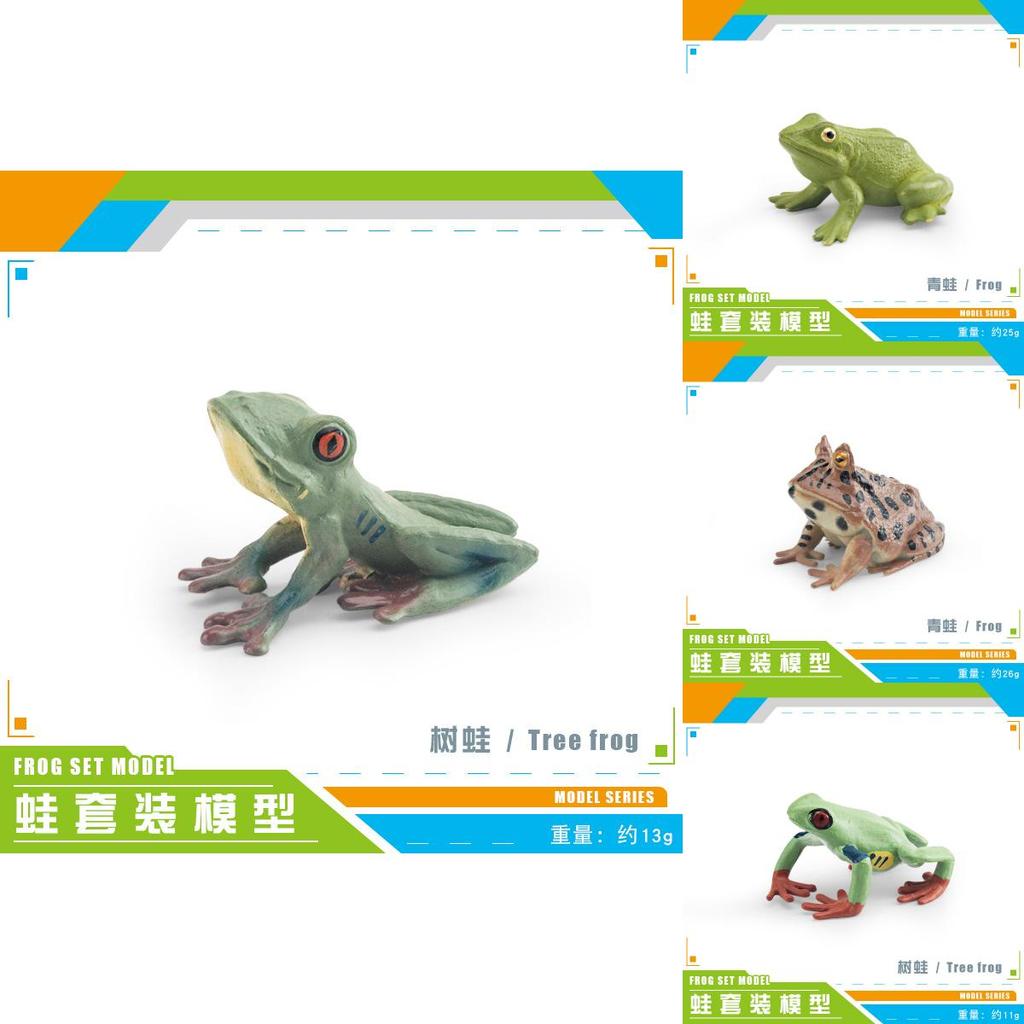 Wildlife Pvc Animal Models With Realistic Frog Collection For Children Educational Decor