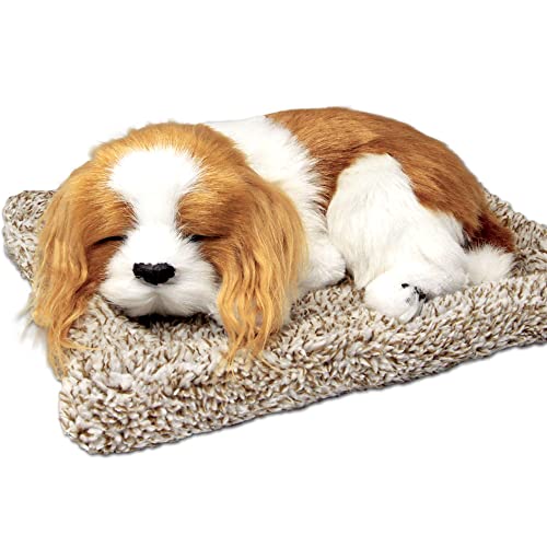 TATOTTE Dog Plush Toy, Realistic Figurine, Cute Sleeping Puppy, Activated Charcoal Included, Relaxing Interior Decor (Cavalier King Charles Spaniel)