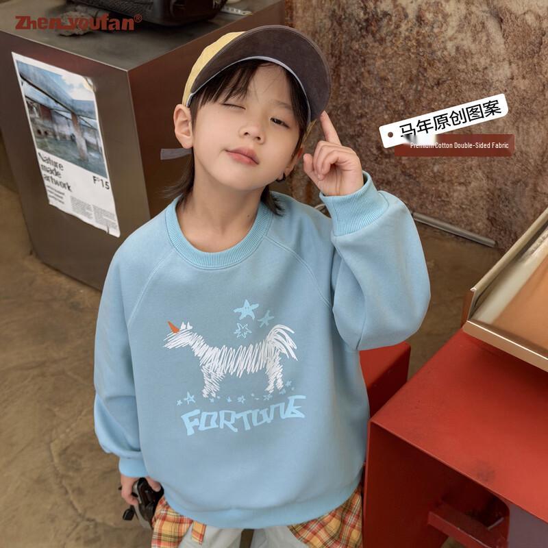Boys  Cartoon Print Spring Sweatshirt 120