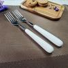 Premium 304 Stainless Steel Ceramic Handle Dinner Fork