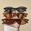 2pcs Vintage Oval Women Fashion Glasses Lightweight Decorative Eyewear for Women Stylish Accessories