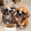 1Pcs Stuffed Doggy Cute Fluffy Plush Pet Room Decor Realistic Sitting Poodle Pug Puppy Plush Toys Children Birthday Gift