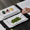 Melamine Faux Porcelain Plates for Hot Pot, Sushi, BBQ & Dessert