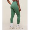 Gymshark Adapt Fleck X Whitney Seamless Leggings Lift Green Clay Green B2a1b ec8X