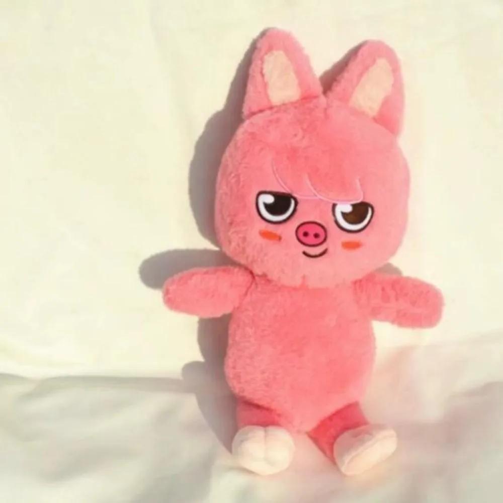 +++Stray Kids  Plush Toy Teddy Hug Pillow Doll Fans Gift Plush Toy Seoul FM Week Cloak Doll Magic School Kid Birthday Gift