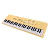 54 Key Electronic Piano Keyboard with Wired Microphone Support Recording Multifunction Kids Electronic Piano Music