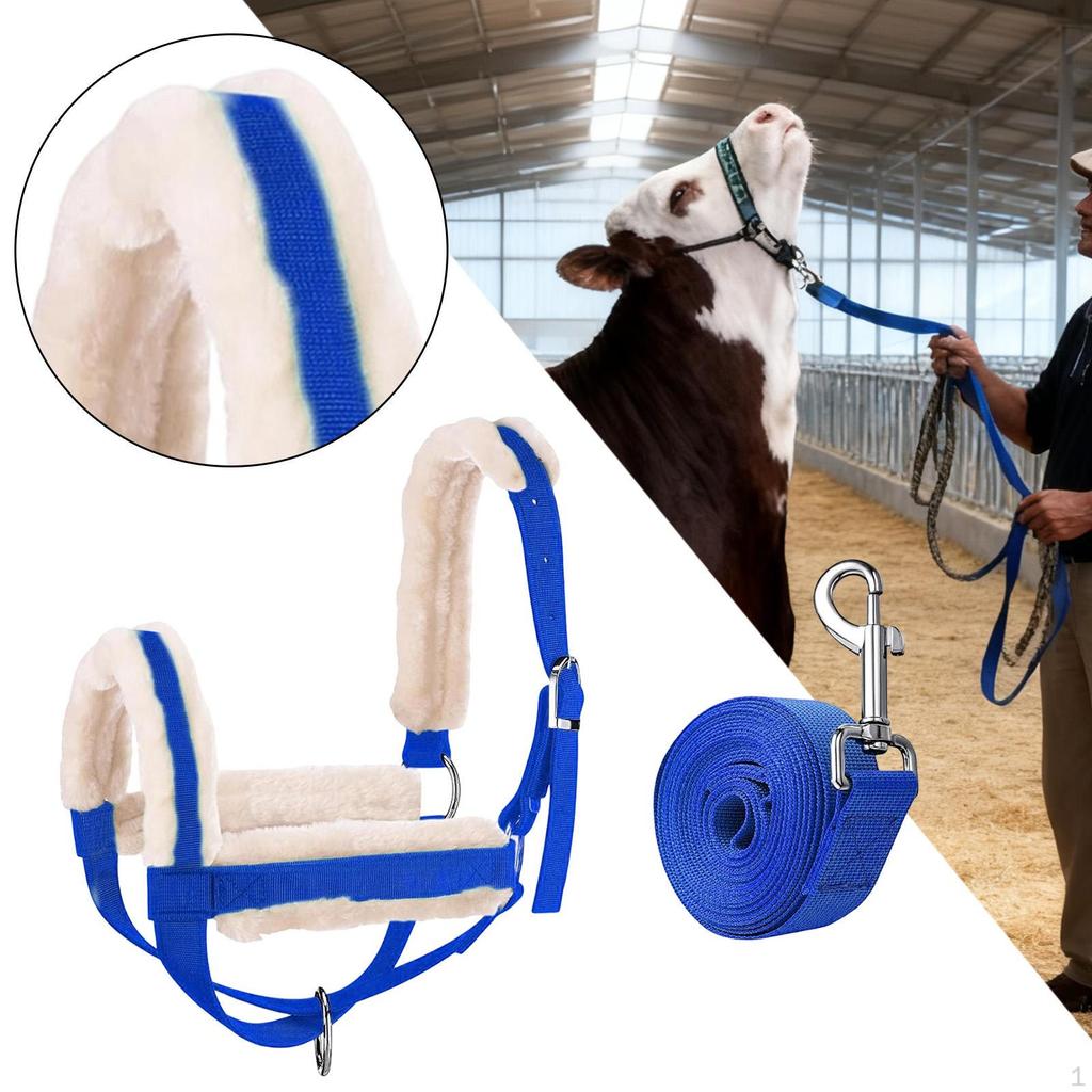 Cattle Bridle And Leading Rope, Calf Bridle, Multi-functional Barn Essential, Male Reins for Horses
