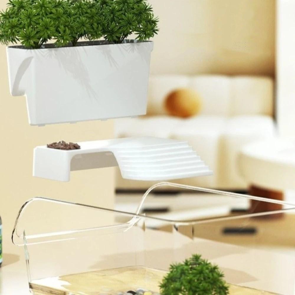 Trocken-Nass-Trennung Schildkrötenbecken Sonnenplatz Schildkröten Sonnenplattform Krabbenbecken Futterhabitat