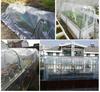 Winter Warm Insulated Greenhouse Cover for Balcony & Succulent Plants – Rainproof & Frostproof