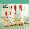 Adorable Bunny Fairy Plush Doll For Girls Soft And Cuddly Stuffed Toy Ideal Birthday Gift