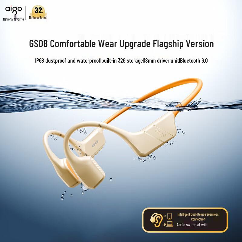 Aigo GS08 True Bone Conduction Swimming Headphones