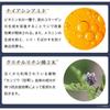 Medicinal Wrinkle Improvement Whitening Eye Cream 30g exclusively at beauty Medicinal eye cream Aging care Highly moisturizing Free formula