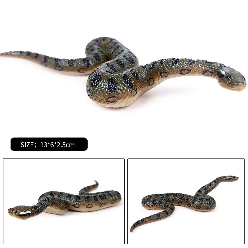 Oenux Insekten Tiere Modell Spinnennetz Skorpion Fledermaus Actionfiguren Figur Miniatur Niedlich Pädagogisch Kinder Spielzeug Halloween Geschenk