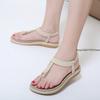 Fashion Summer Women Sandals Bohemia Casual Ethnic Shoes Flip Flops Soft Flats Woman Comfortable Plus Size Wedge Sandalias Zapatos Mujer