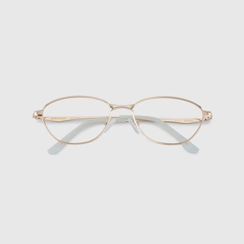 BLUE ELEPHANT ENZO gold