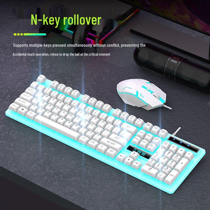 Silent Luminous Keyboard and Mouse Set, Multi-Key Anti-Ghosting with USB for Desktop and Laptop.