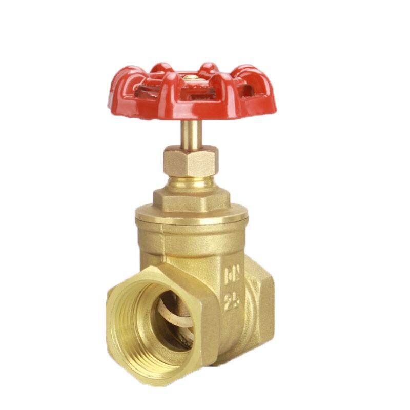 IceYu Brass Gate Valve