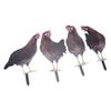 4 Pcs Garden Hen Stakes Colorful Realistic Decorative Acrylic Easy To Install Chicken Yard Decor