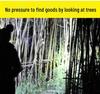 LED High-Power Rechargeable Headlamp: Outdoor, White/Yellow Light, USB Electric Display, for Night Fishing and Mining