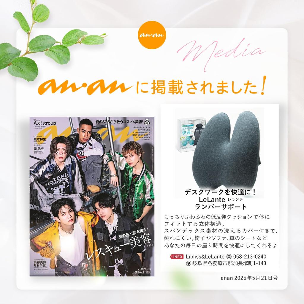 LeLante Car Cushion, Lumbar Support, Seat Cushion, Lower Back Pain, Driver's Seat Cushion, Memory Foam, Dark Gray