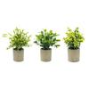 Birthday Gifts Artificial Green Plants Indoor Decorative Plants