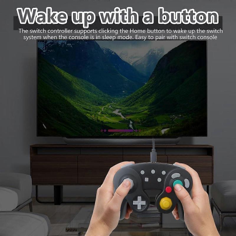 Game-cube Controller for Switch Nintendo,Wireless Game-cube Switch Pro Controller for Nintendo Switch/PC/Steam,6-Axis Gyro Motion