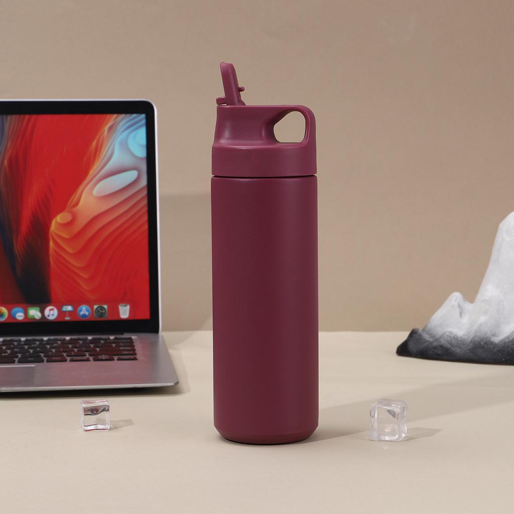 550ml Matte 304 Stainless Steel Insulated Tumbler, Flip Straw Lid Water Bottle for Office & Daily Use