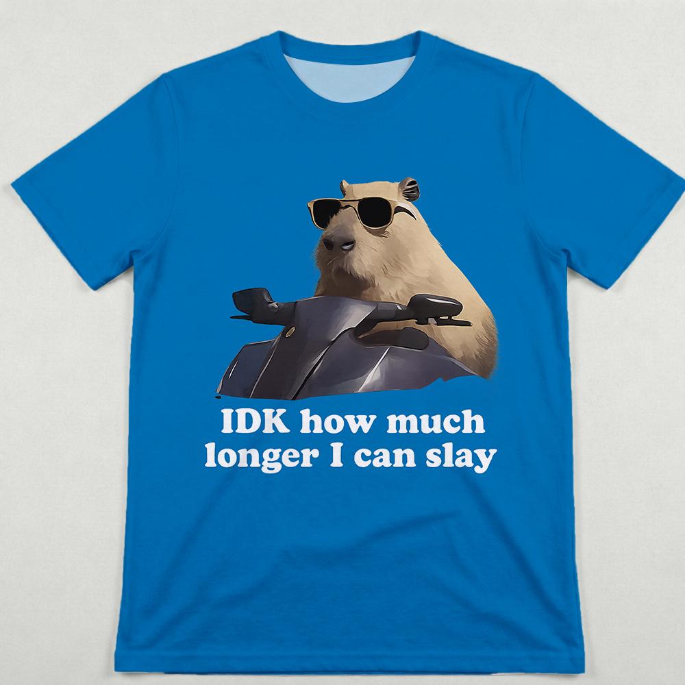 Funny Capybara Meme TShirt IDK How Much Longer I Can Slay Men Women Y2K Streetwear Summer Casual ShortSleeve Wide TShirt