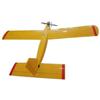 Xintaihang Type I RC Trainer Aircraft