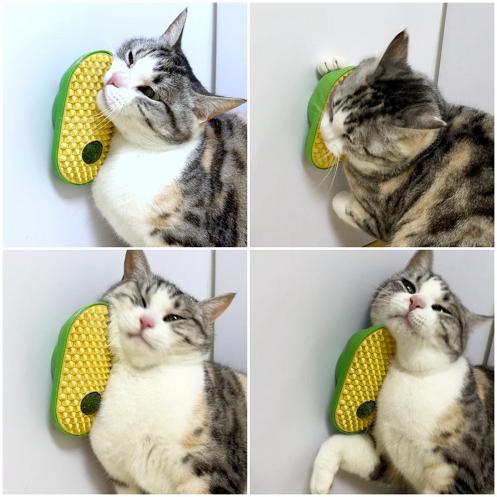 Catnip Self-Grooming Brush for Cats with Built-In Catnip Ball and Textured Surface for Scratching and Massaging
